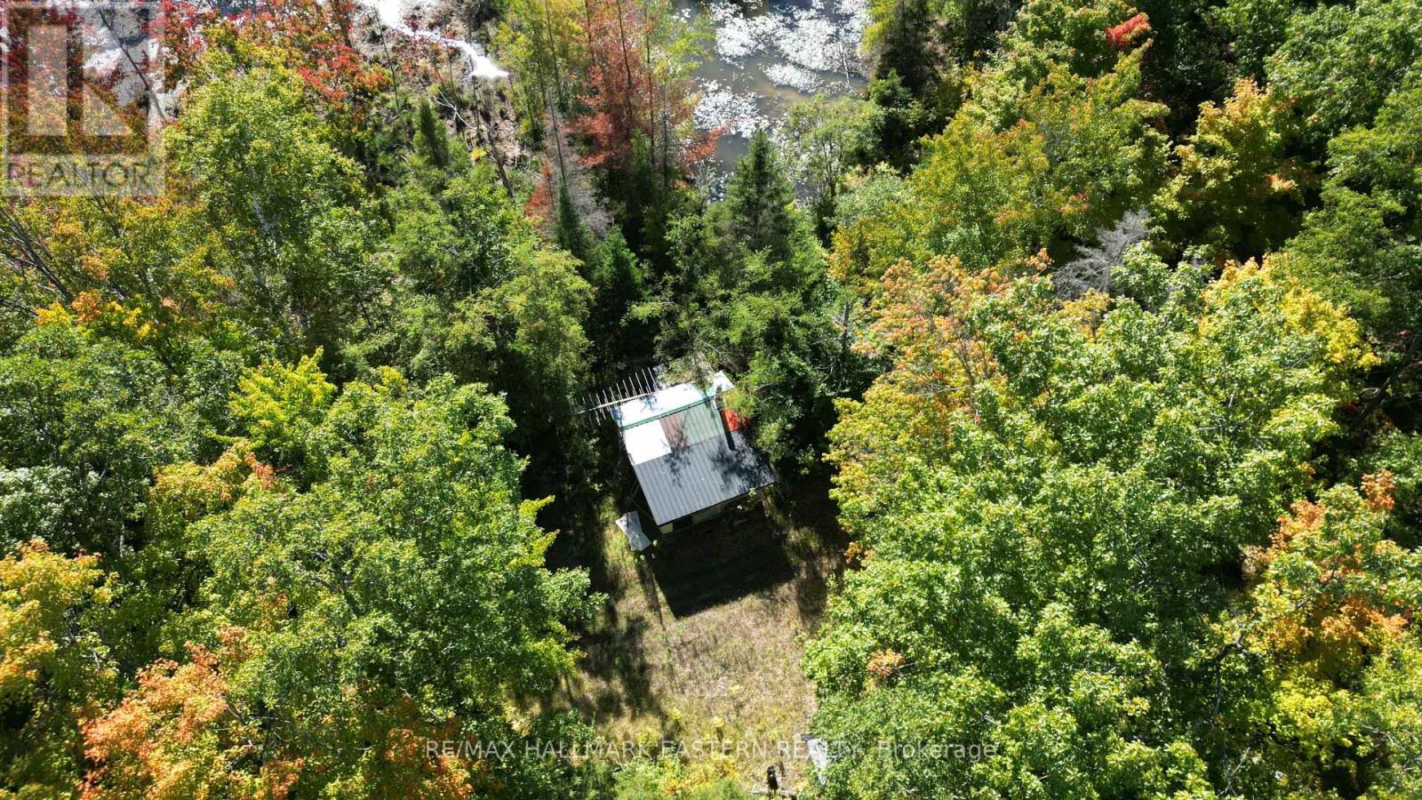 1092 Mid Belmont 7th Line, Havelock-Belmont-Methuen, Ontario  K0L 1Z0 - Photo 14 - X12421638