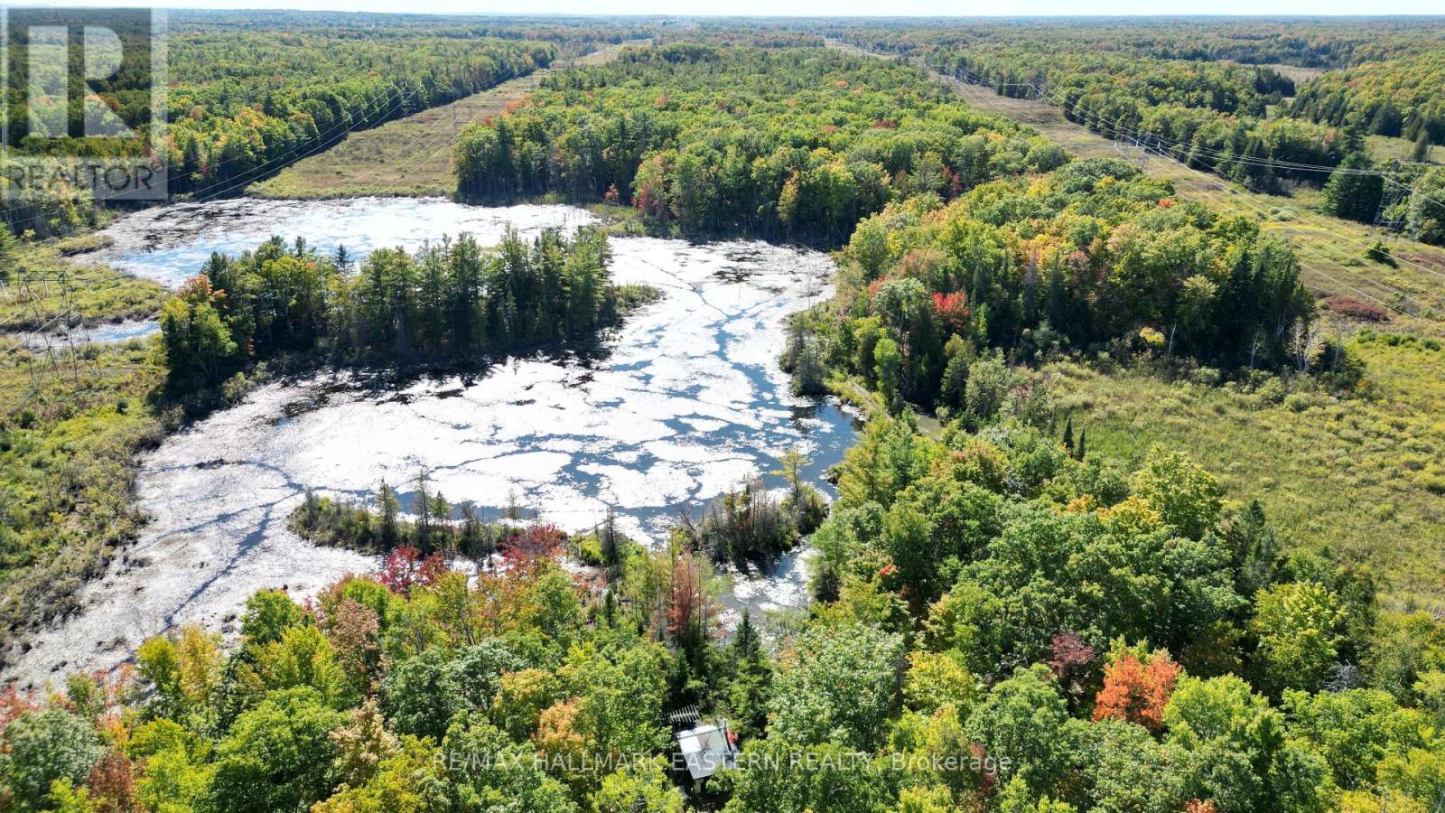 1092 Mid Belmont 7th Line, Havelock-Belmont-Methuen, Ontario  K0L 1Z0 - Photo 13 - X12421638