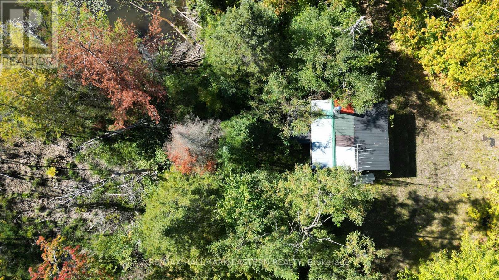 1092 Mid Belmont 7th Line, Havelock-Belmont-Methuen, Ontario  K0L 1Z0 - Photo 41 - X12421638