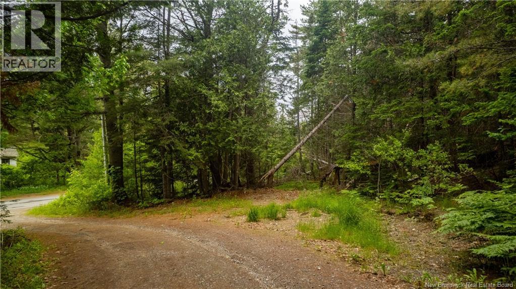 172 Lily Hill Road, Oak Bay, New Brunswick  E3L 4E6 - Photo 22 - NB126293