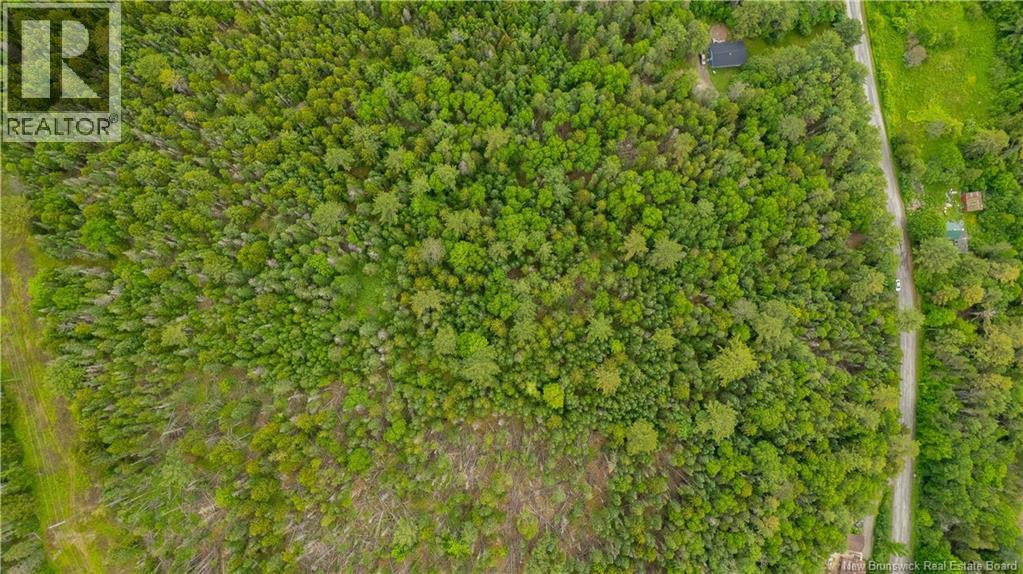 172 Lily Hill Road, Oak Bay, New Brunswick  E3L 4E6 - Photo 16 - NB126293