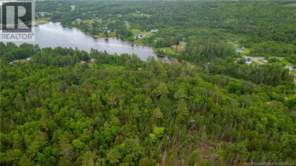 172 Lily Hill Road, Oak Bay, New Brunswick  E3L 4E6 - Photo 9 - NB126293