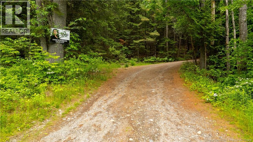 172 Lily Hill Road, Oak Bay, New Brunswick  E3L 4E6 - Photo 18 - NB126293