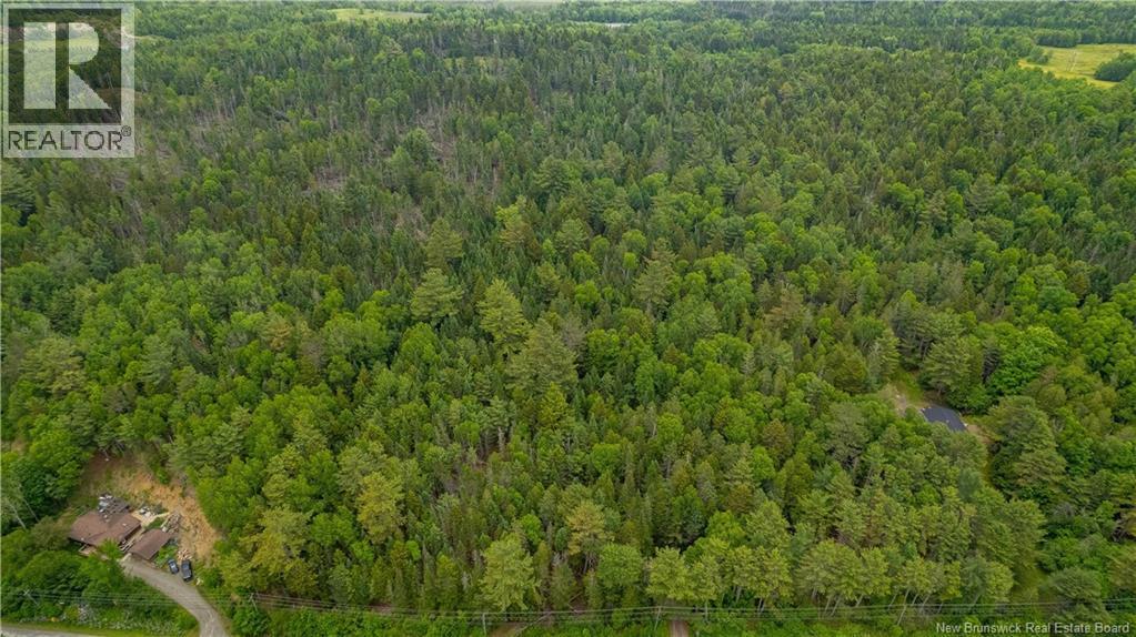 172 Lily Hill Road, Oak Bay, New Brunswick  E3L 4E6 - Photo 8 - NB126293