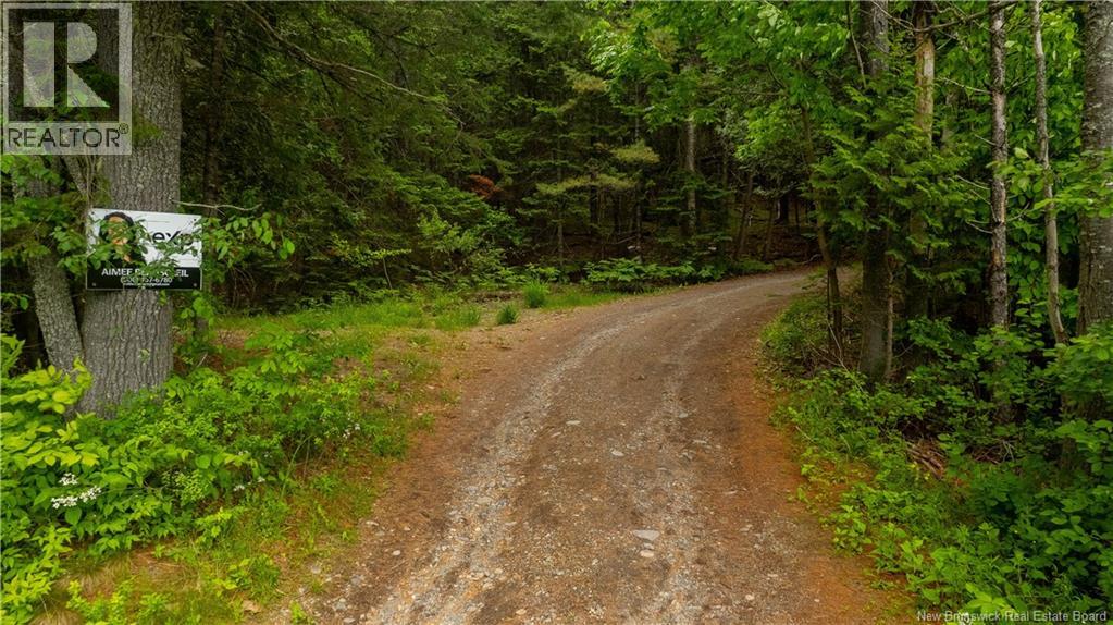 172 Lily Hill Road, Oak Bay, New Brunswick  E3L 4E6 - Photo 23 - NB126293