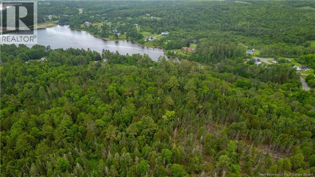 172 Lily Hill Road, Oak Bay, New Brunswick  E3L 4E6 - Photo 10 - NB126293