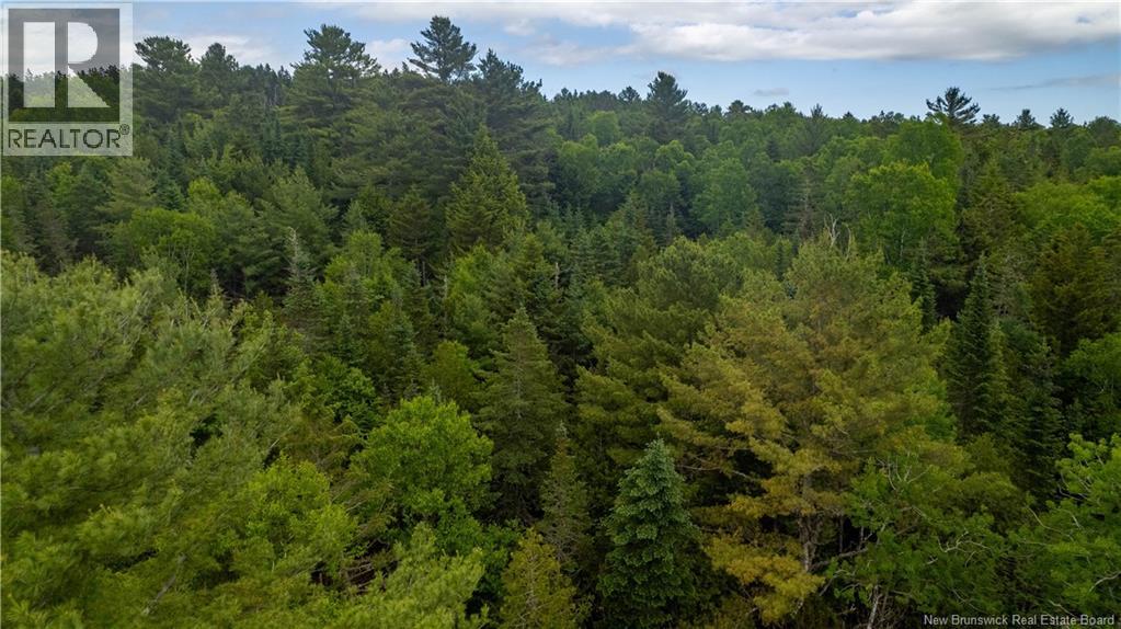 172 Lily Hill Road, Oak Bay, New Brunswick  E3L 4E6 - Photo 3 - NB126293