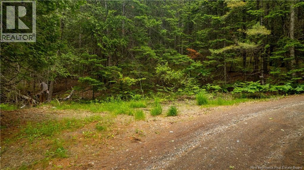 172 Lily Hill Road, Oak Bay, New Brunswick  E3L 4E6 - Photo 19 - NB126293