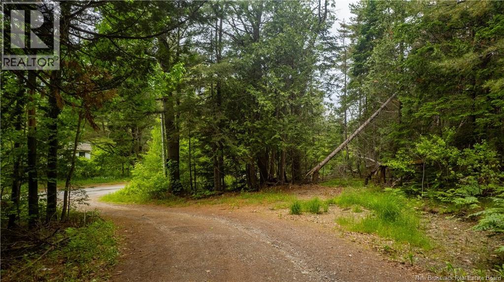 172 Lily Hill Road, Oak Bay, New Brunswick  E3L 4E6 - Photo 21 - NB126293