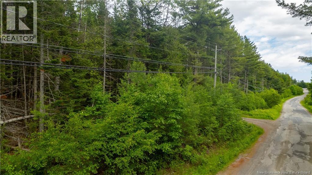 172 Lily Hill Road, Oak Bay, New Brunswick  E3L 4E6 - Photo 4 - NB126293