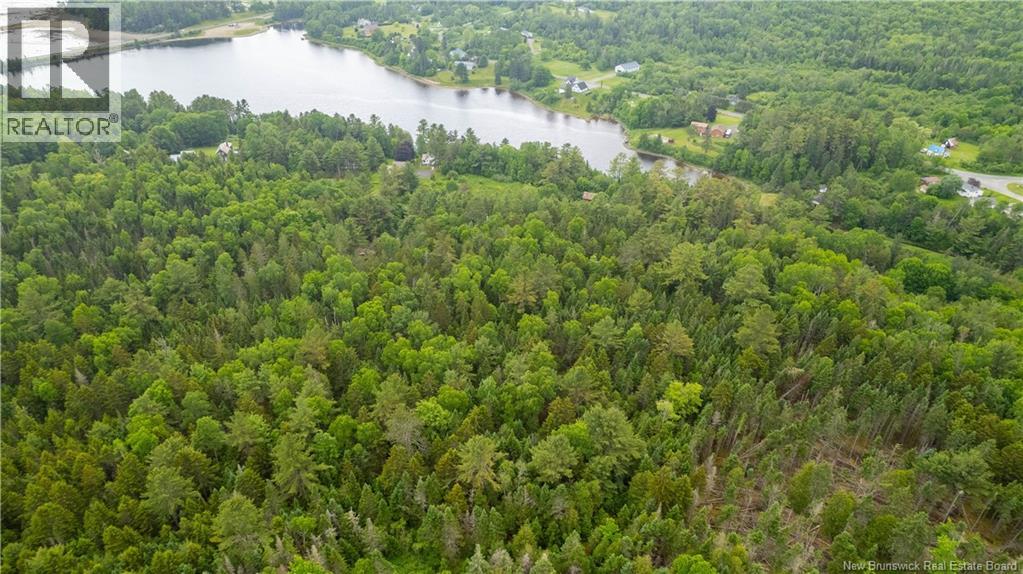 172 Lily Hill Road, Oak Bay, New Brunswick  E3L 4E6 - Photo 5 - NB126293