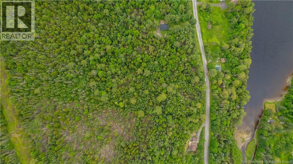 172 Lily Hill Road, Oak Bay, New Brunswick  E3L 4E6 - Photo 17 - NB126293