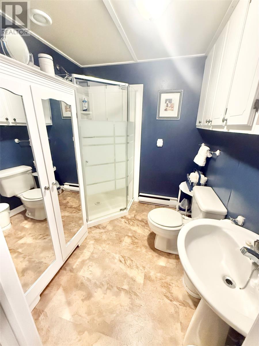 135 Goodyear Avenue, Grand Falls-Windsor, Newfoundland & Labrador  A2A 1K1 - Photo 48 - 1293809