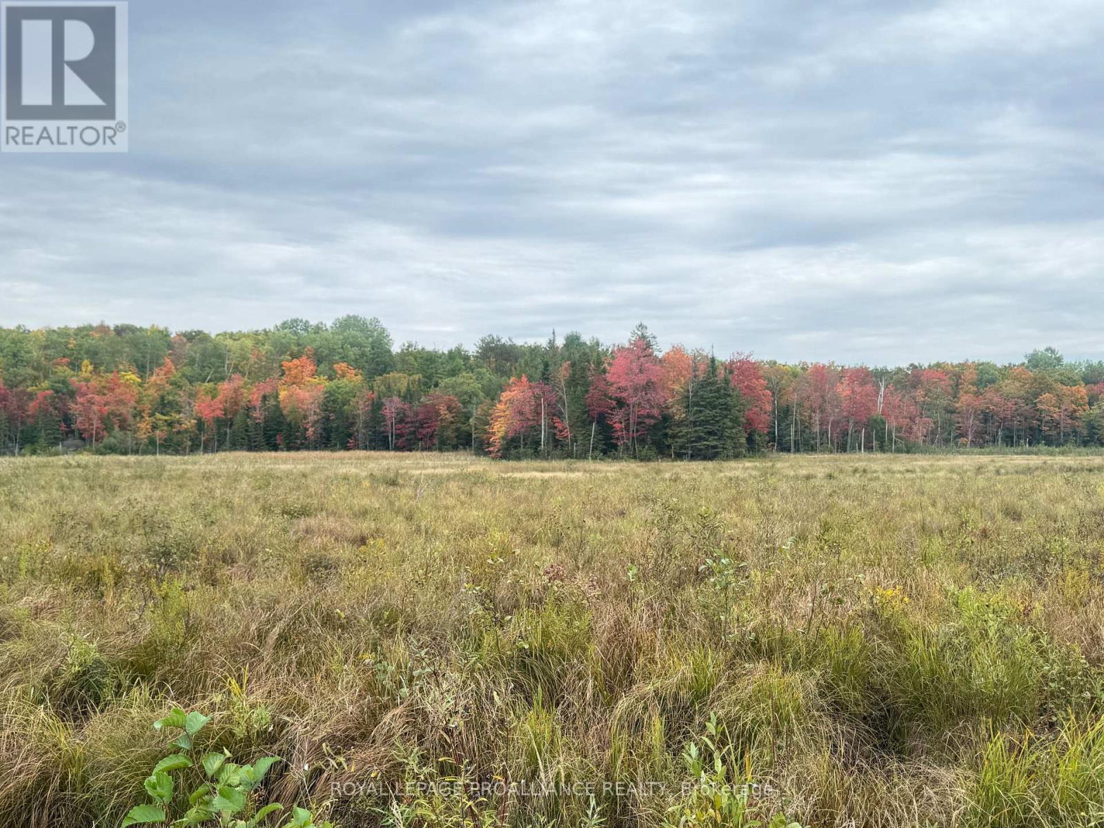 0 Devils Four Mile Road W, Havelock-Belmont-Methuen, Ontario  K0K 1Z0 - Photo 30 - X12429025
