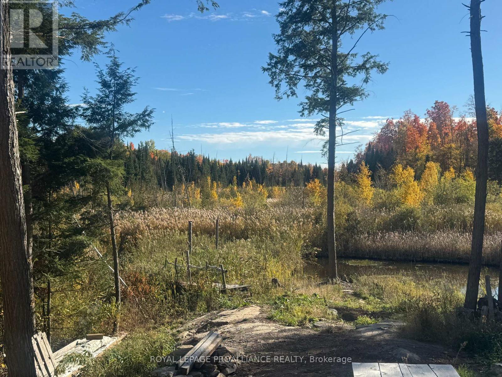 0 Devils Four Mile Road W, Havelock-Belmont-Methuen, Ontario  K0K 1Z0 - Photo 32 - X12429025