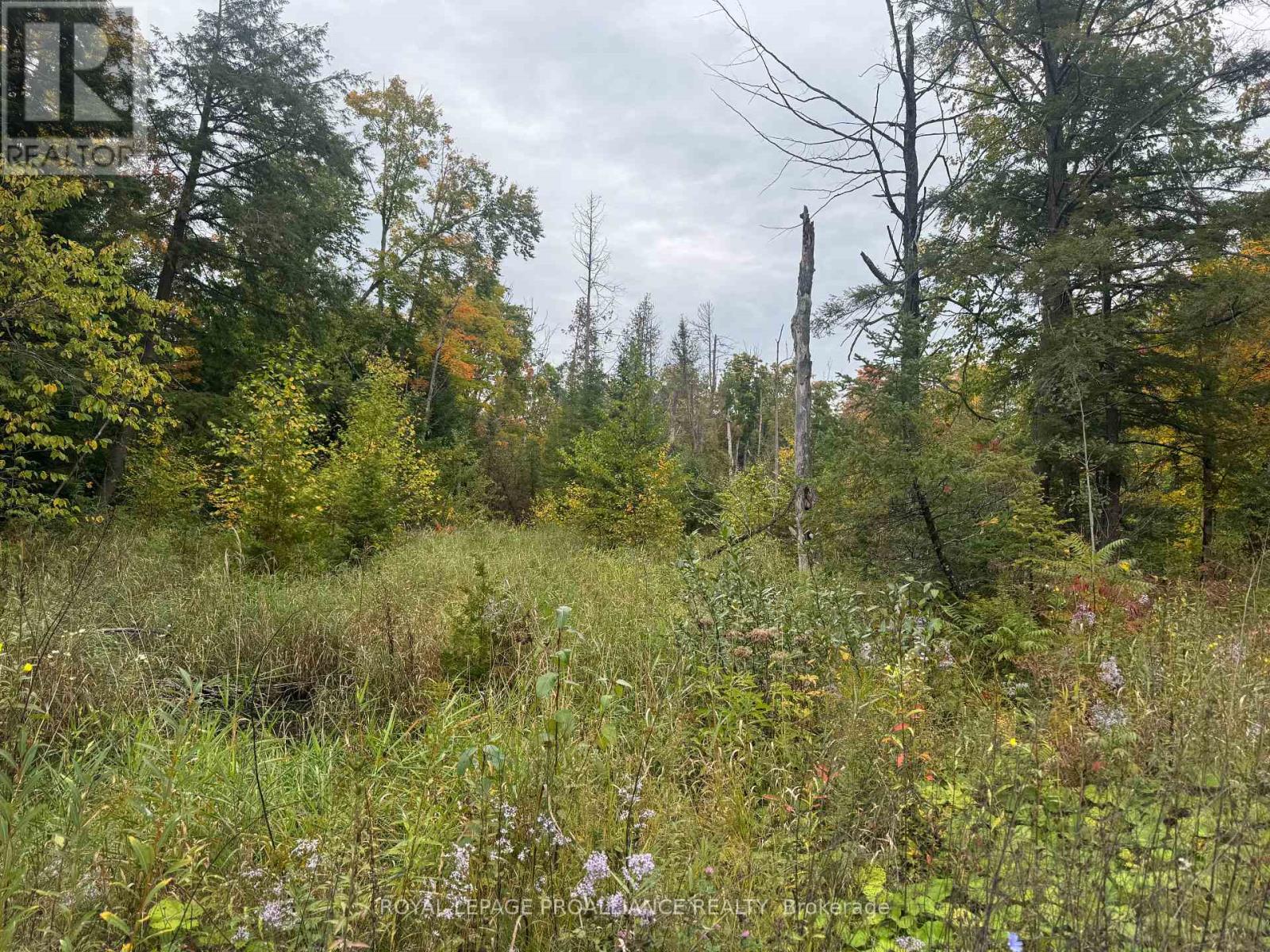 0 Devils Four Mile Road W, Havelock-Belmont-Methuen, Ontario  K0K 1Z0 - Photo 31 - X12429025