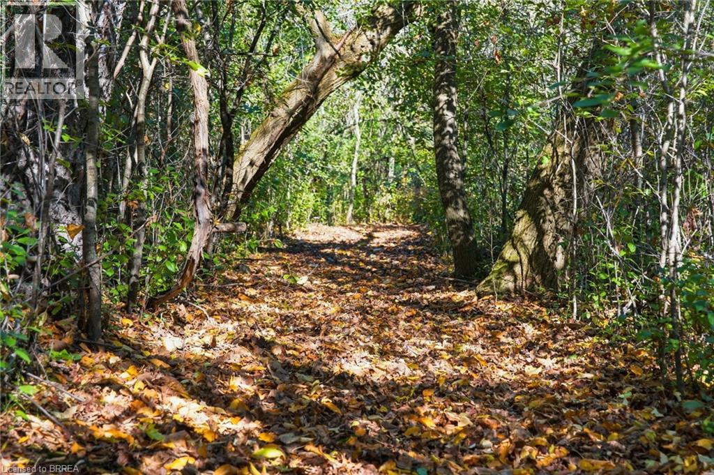 24 River Road, Brantford, Ontario  N3R 0C1 - Photo 38 - 40795337