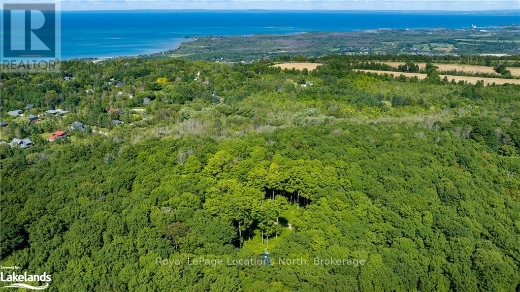 17-18 Scandia Lane, Blue Mountains, Ontario  N1A 2W1 - Photo 6 - X12708678