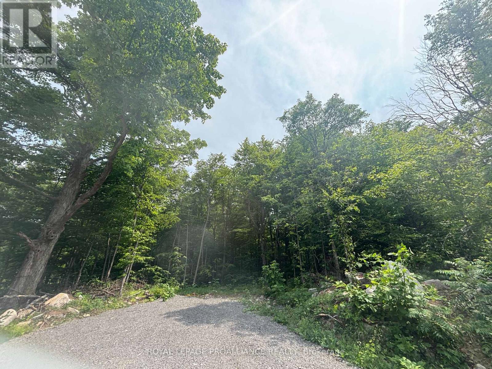 Severed B - 554 Pigden Road, Madoc, Ontario  K0K 2K0 - Photo 2 - X12708734