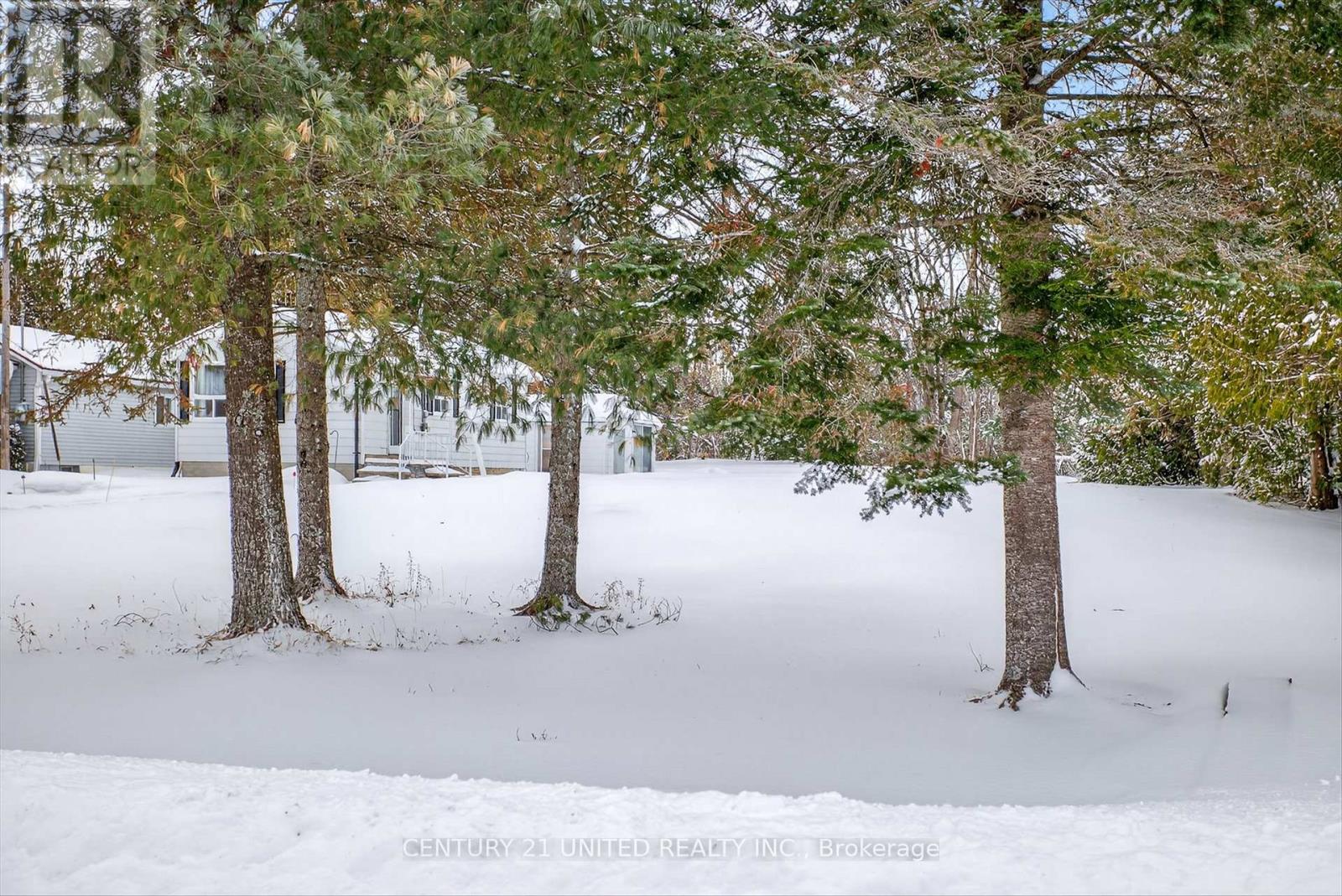 90 Trent Canal Road, Kawartha Lakes, Ontario  K0M 1N0 - Photo 24 - X12708818