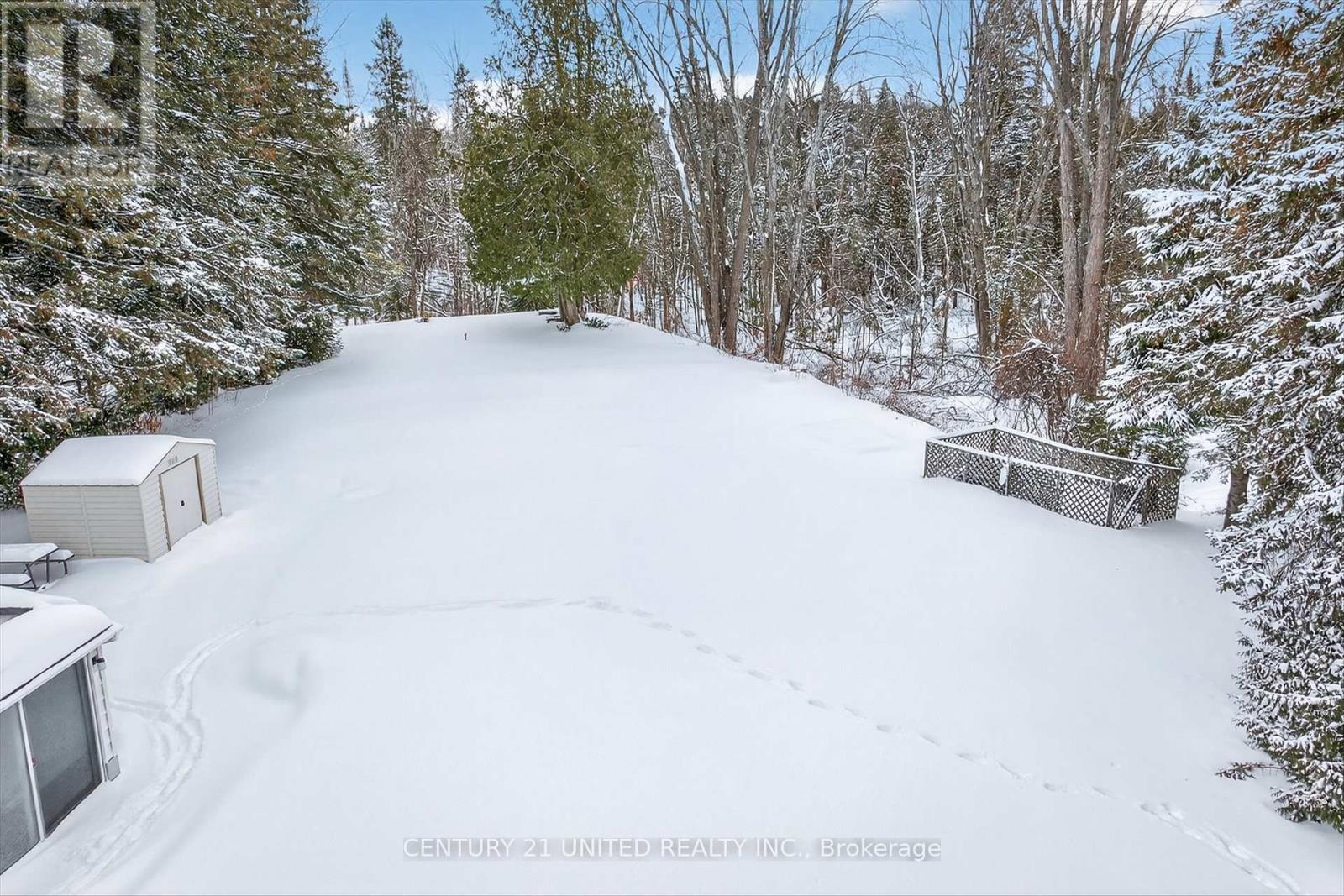 90 Trent Canal Road, Kawartha Lakes, Ontario  K0M 1N0 - Photo 36 - X12708818