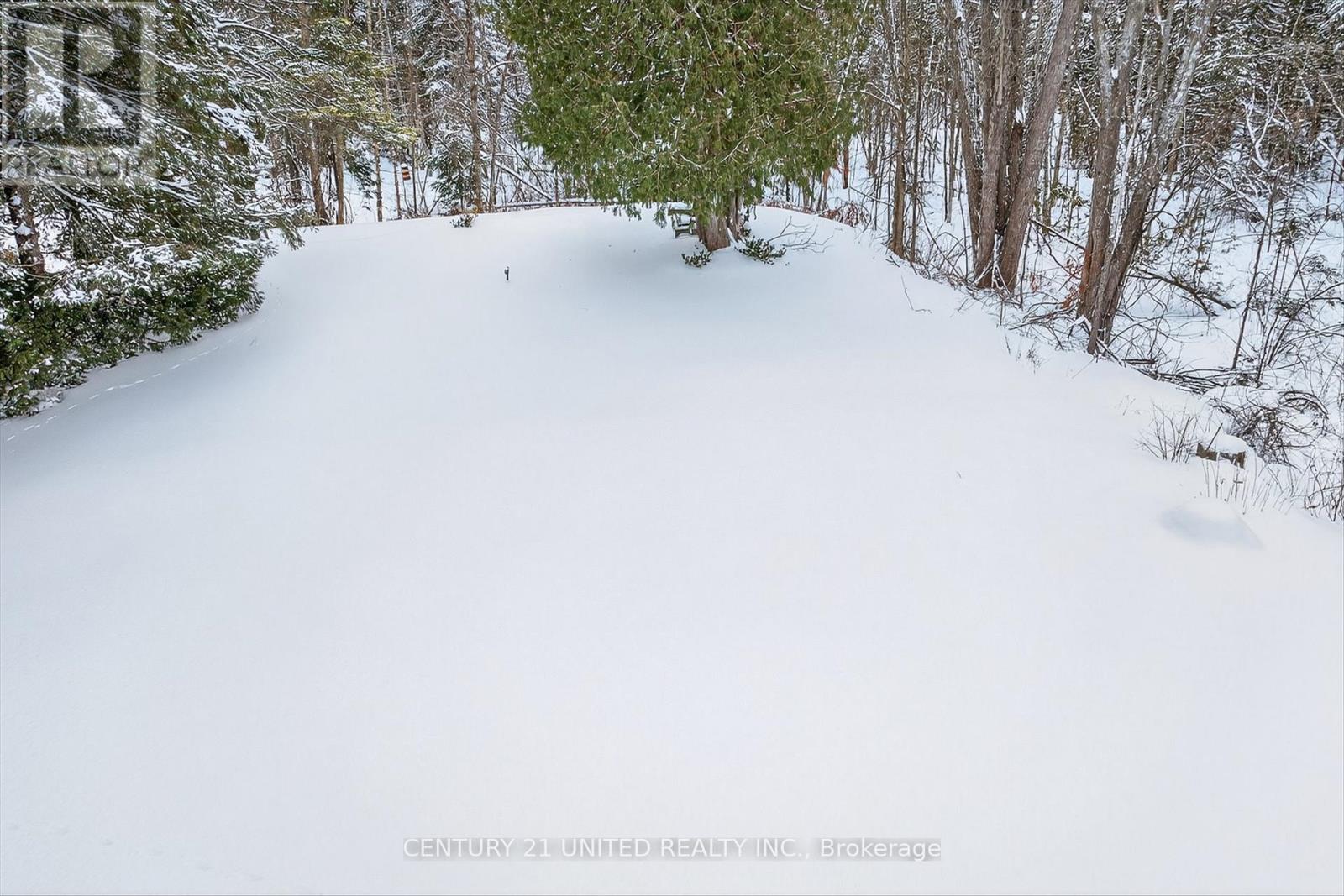 90 Trent Canal Road, Kawartha Lakes, Ontario  K0M 1N0 - Photo 37 - X12708818