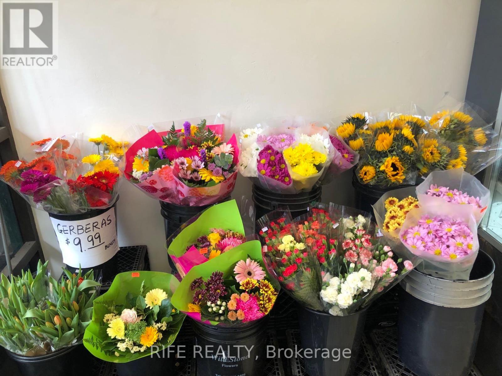 497 Church Street, Toronto, Ontario  M4Y 2C6 - Photo 16 - C12708634