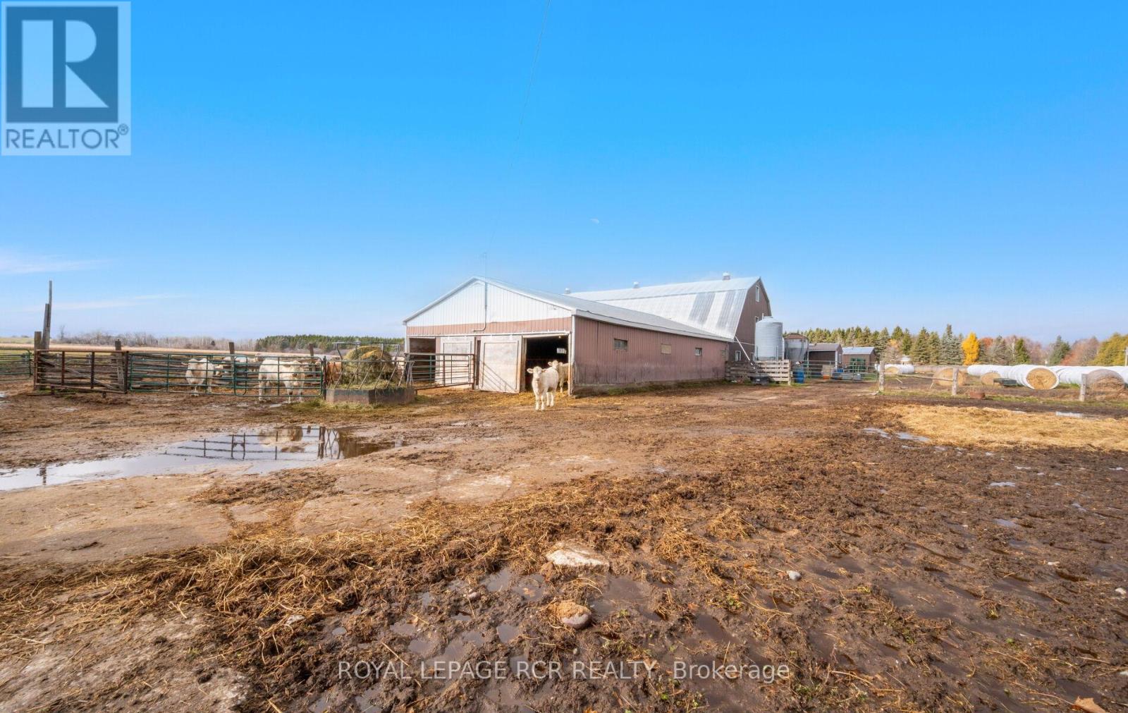 553456 Mono Amaranth Townline, Amaranth, Ontario  L9W 0S9 - Photo 28 - X12708812