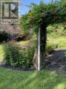 368 Anne Street, Cobourg, Ontario  K9A 1G6 - Photo 42 - X12708808