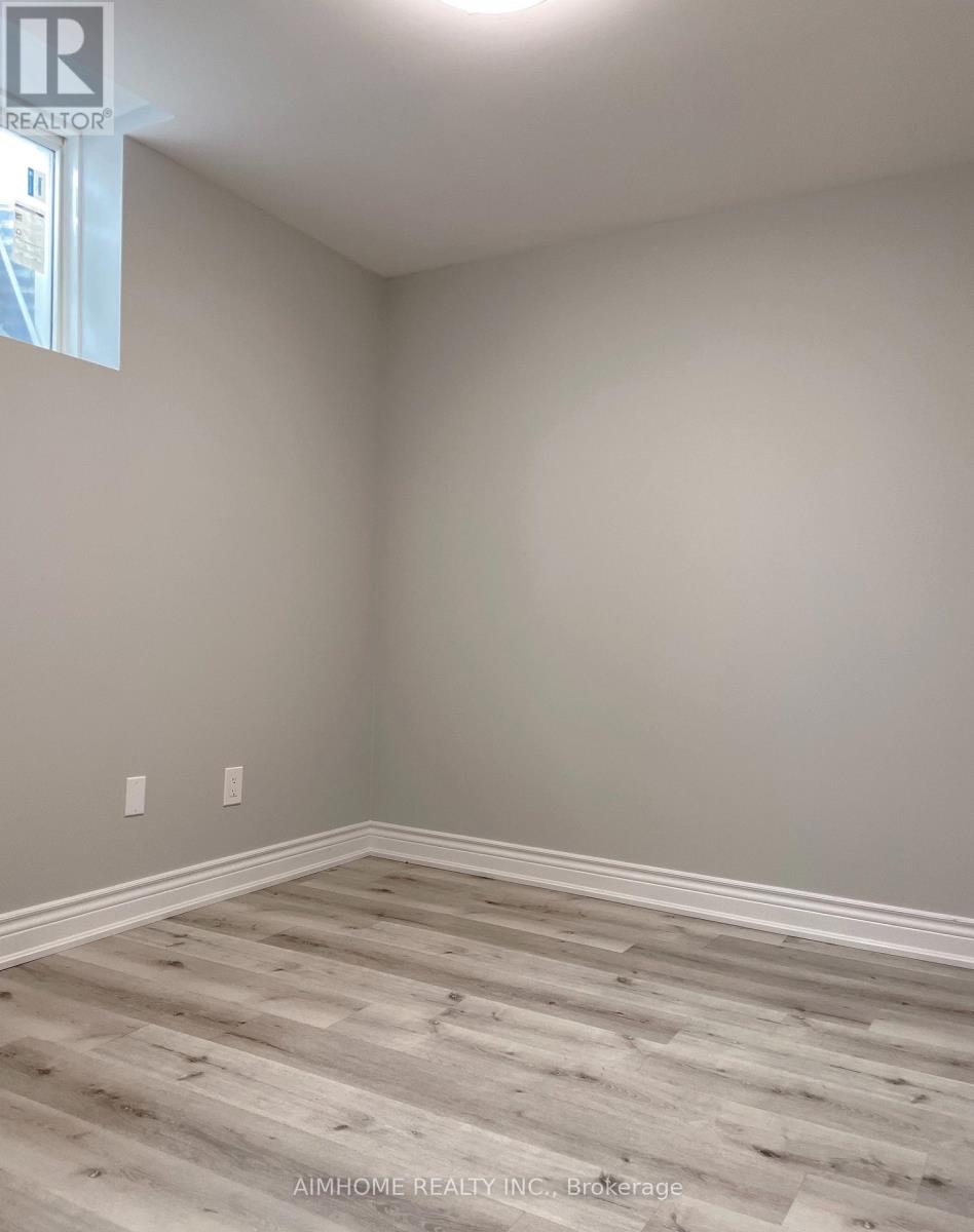 Lower - 707 Frank Hempen Court, Newmarket, Ontario  L3X 0G4 - Photo 14 - N12709026