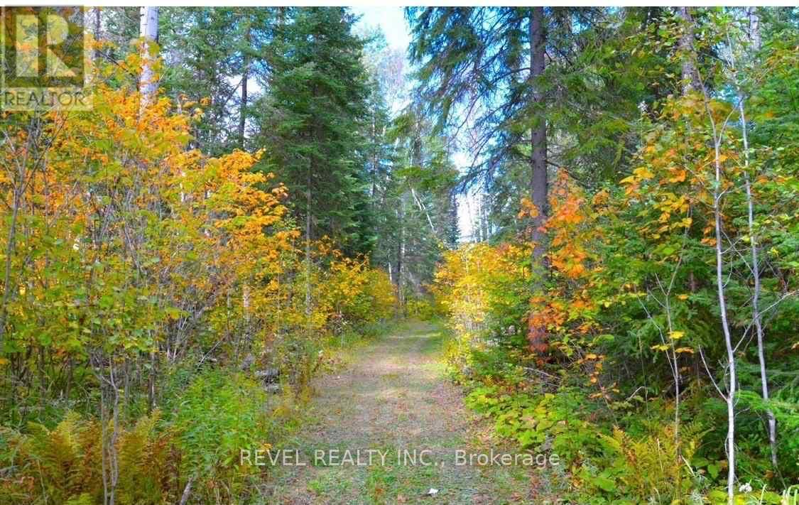 Pcl 7714 Retreat Road, Timmins, Ontario  P0N 1A0 - Photo 6 - T12709328