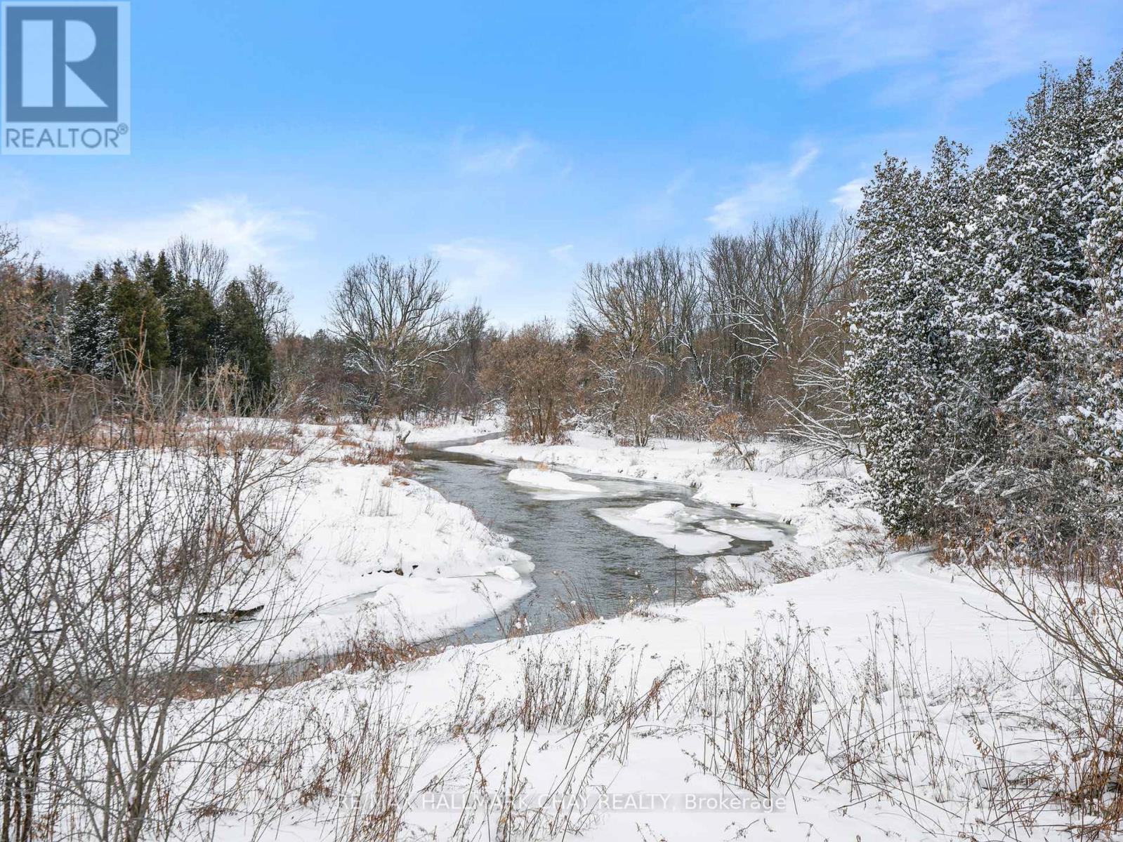 4146 Concession 7 Road, Adjala-Tosorontio, Ontario  L0G 1L0 - Photo 35 - N12709132