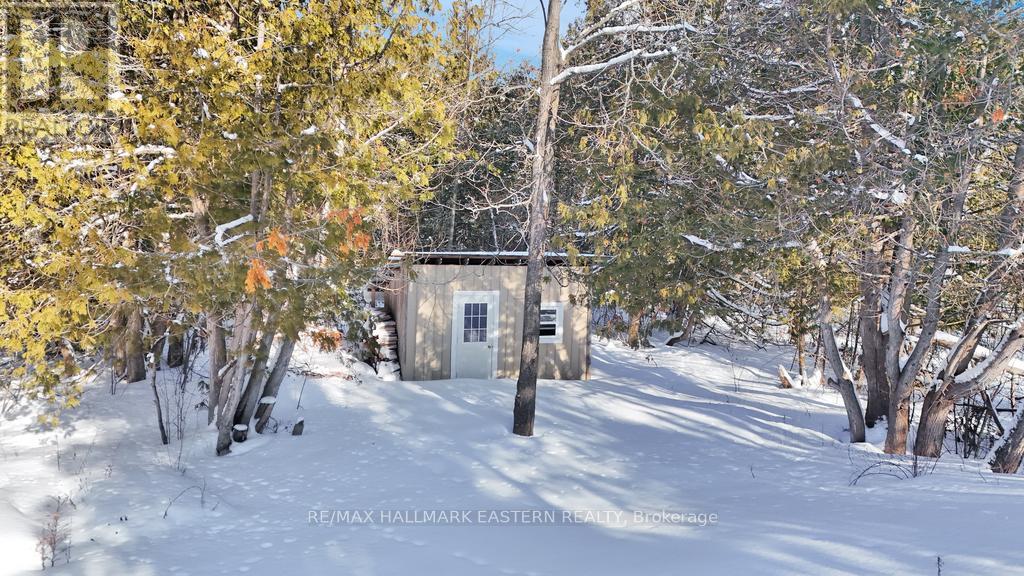 55 Goodman Road, Kawartha Lakes, Ontario  K0M 1N0 - Photo 45 - X12547110