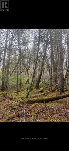 0 Myers Cave Road, Frontenac, Ontario  K0H 1B0 - Photo 9 - X12704808