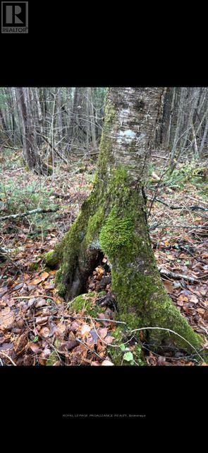 0 Myers Cave Road, Frontenac, Ontario  K0H 1B0 - Photo 8 - X12704808