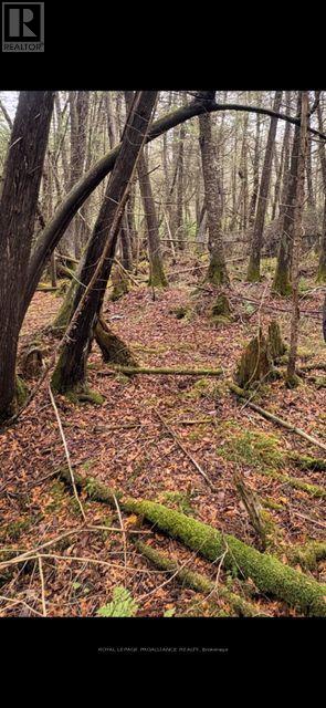0 Myers Cave Road, Frontenac, Ontario  K0H 1B0 - Photo 7 - X12704808