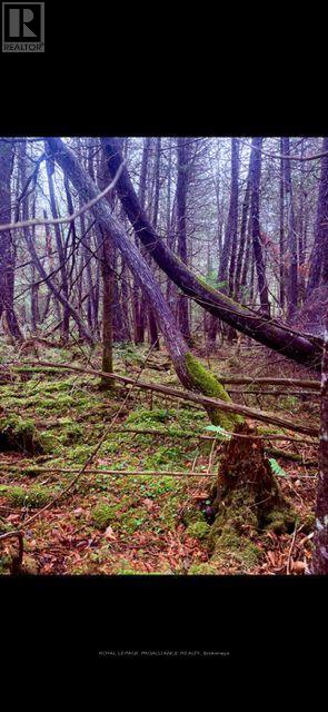 0 Myers Cave Road, Frontenac, Ontario  K0H 1B0 - Photo 6 - X12704808