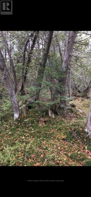 0 Myers Cave Road, Frontenac, Ontario  K0H 1B0 - Photo 10 - X12704808