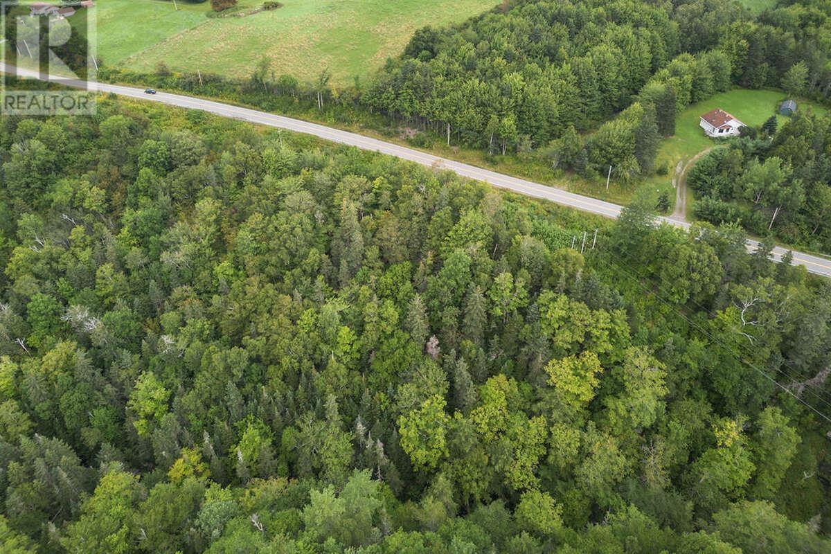 Highway 252, Hillsboro, Nova Scotia