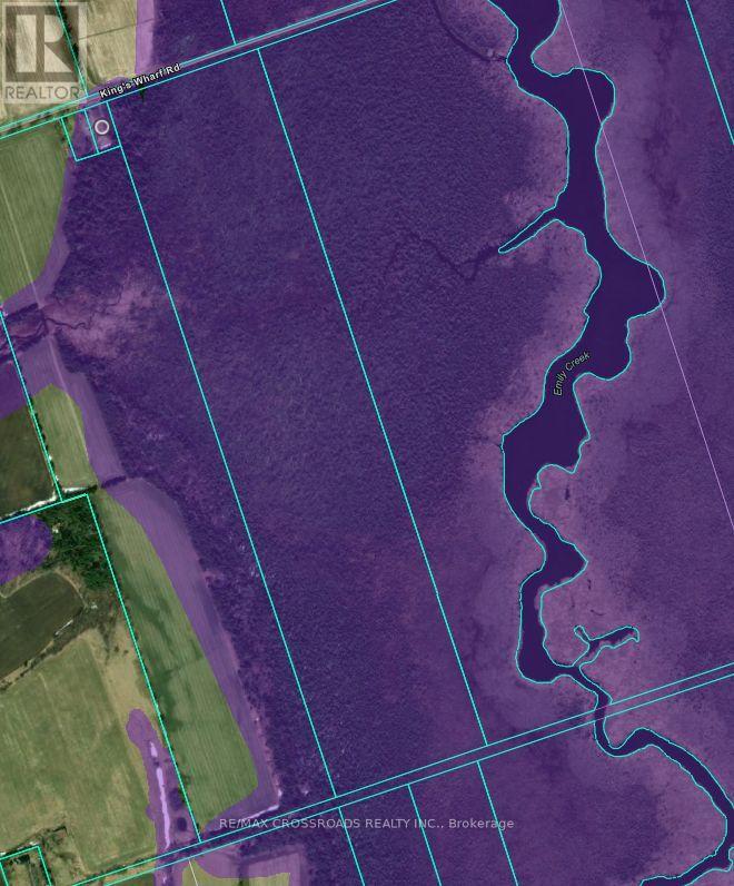 10 Kings Wharf Road, Kawartha Lakes, Ontario  K9V 4R3 - Photo 3 - X12394798