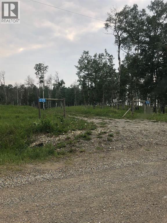 20, 31048 50 Range Road, Rural Mountain View County, Alberta  T0M 0R0 - Photo 6 - A2277780