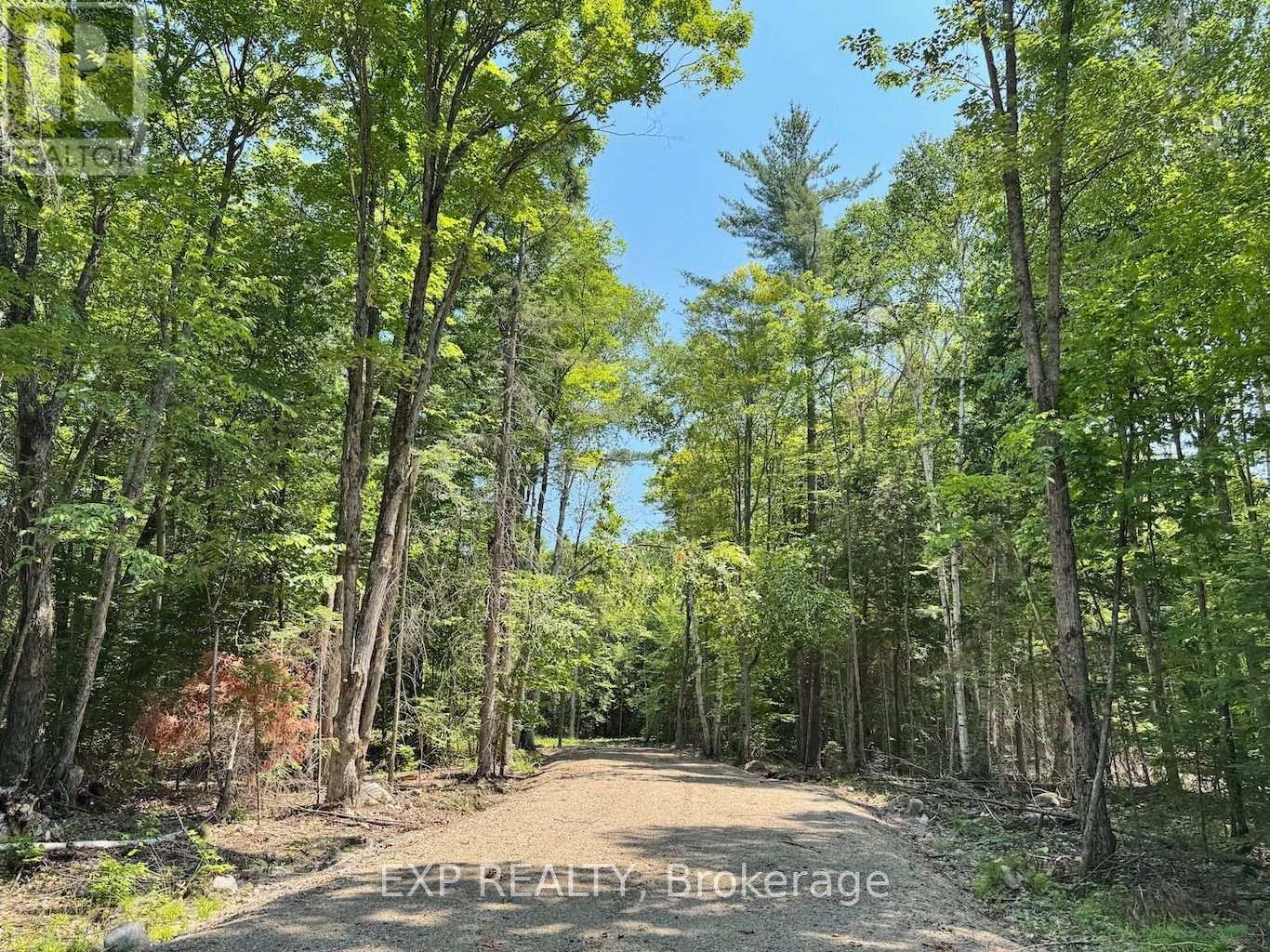 Lot 21 Lakewoods Drive, Madawaska Valley, Ontario  K0J 1B0 - Photo 3 - X12148266