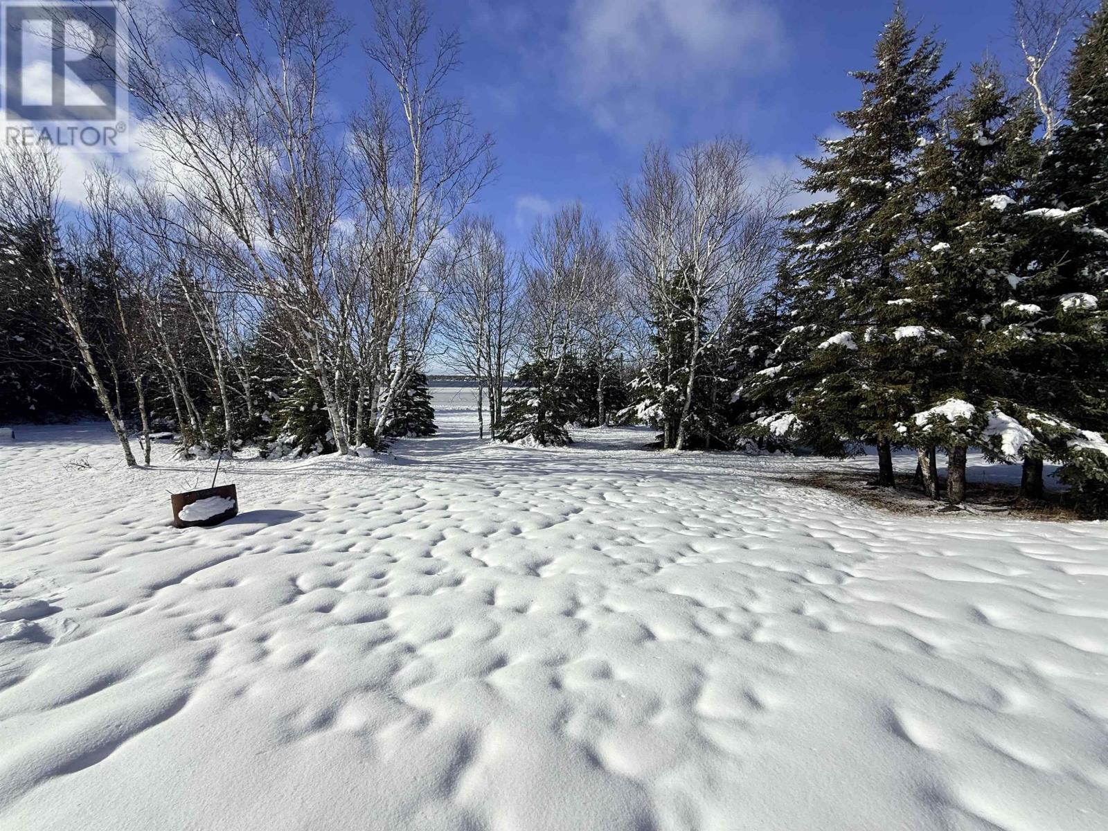 103 Paradise Road, Albert Bridge, Nova Scotia  B1K 3R4 - Photo 4 - 202601077