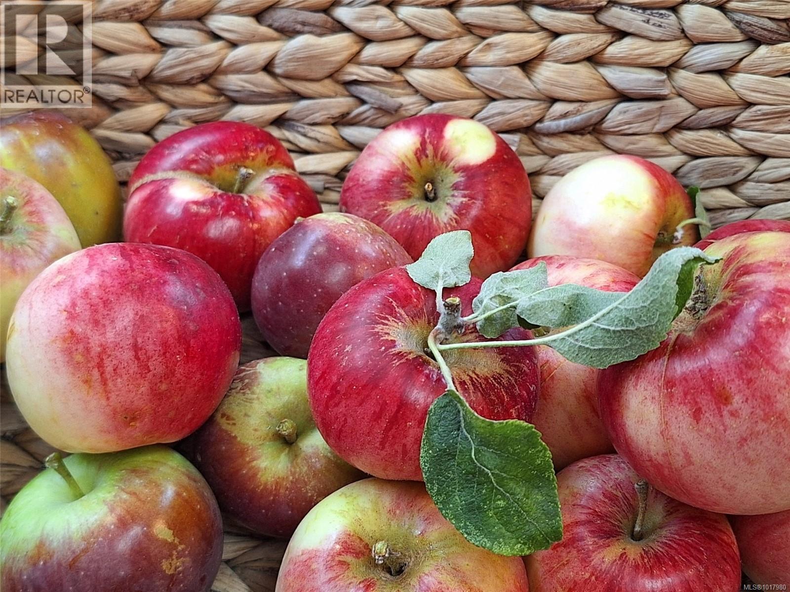 3550 Lakeshaw Rd, Cobble Hill, British Columbia  V9L 6N5 - Photo 60 - 1017980