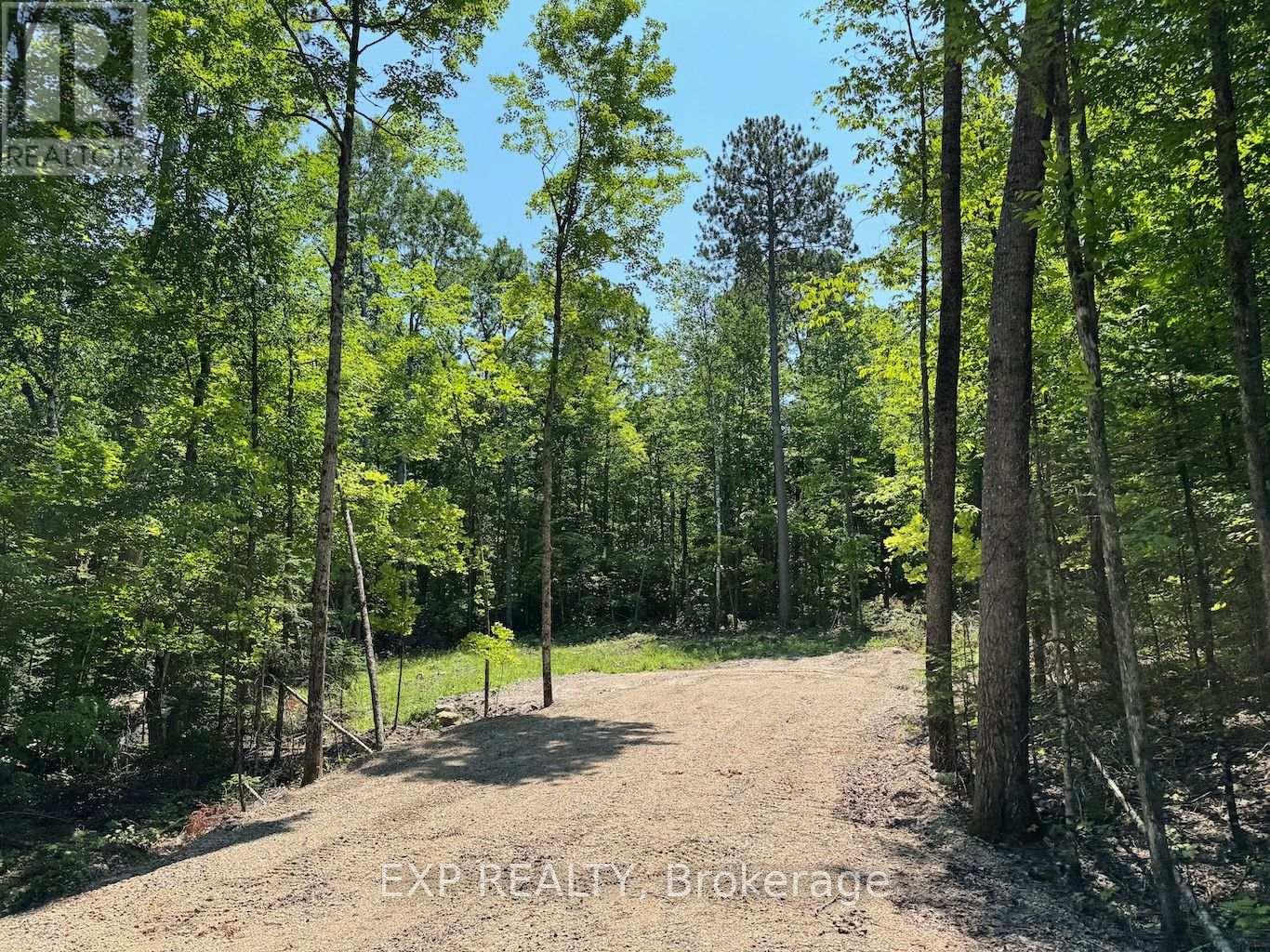 Lot 16 Lakewoods Drive, Madawaska Valley, Ontario  K0J 1B0 - Photo 4 - X12148235