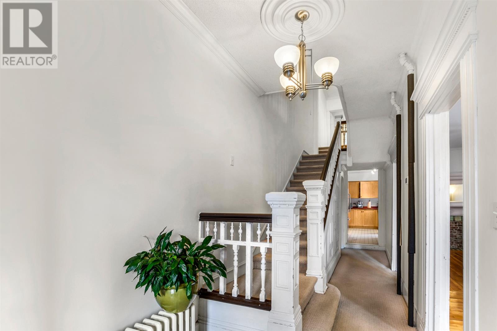 44 St Clare Avenue, St. John's, Newfoundland & Labrador  A1C 2J8 - Photo 7 - 1293783