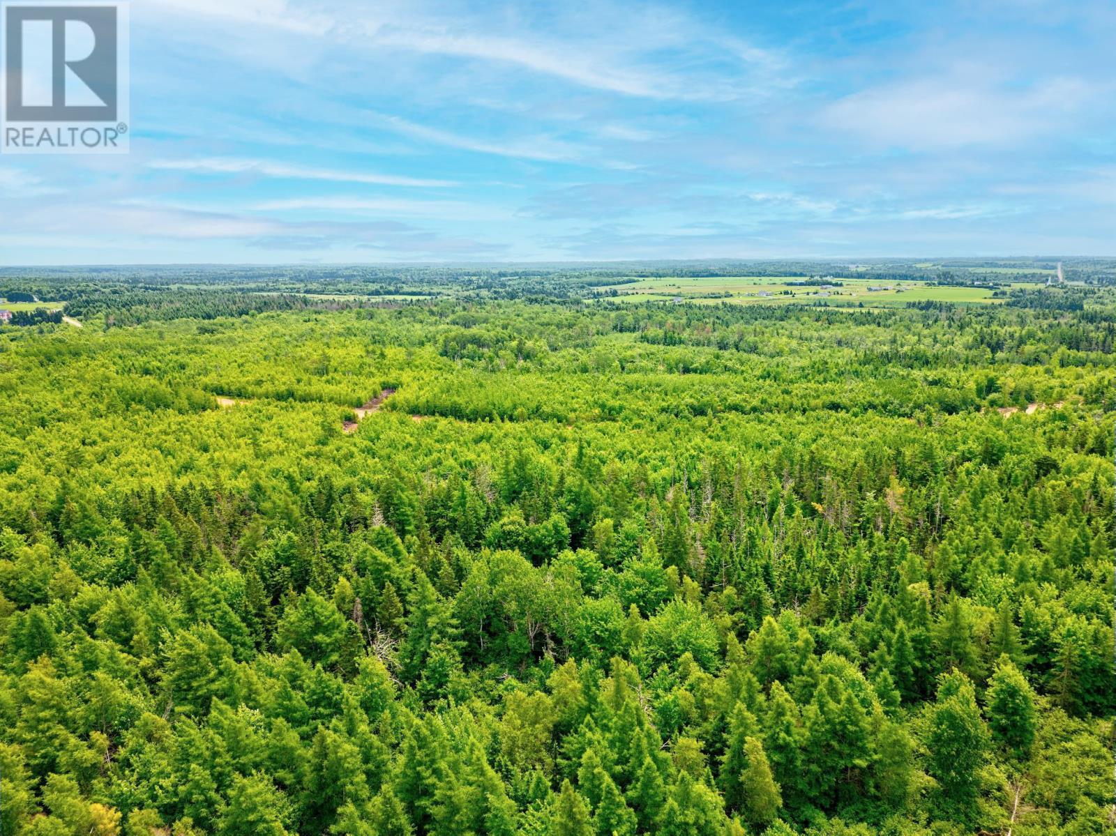 Acreage Moore Road, Victoria West, Prince Edward Island  C0B 2C0 - Photo 7 - 202601087