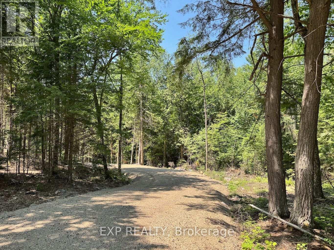 Lot 14 Lakewoods Drive, Madawaska Valley, Ontario  K0J 1B0 - Photo 4 - X12148213
