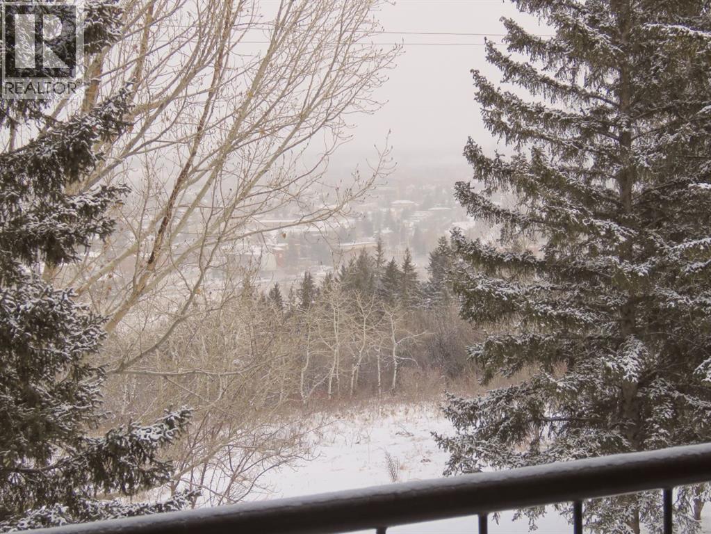 204, 328 Cedar Crescent Sw, Calgary, Alberta  T3C 2Y8 - Photo 21 - A2280165