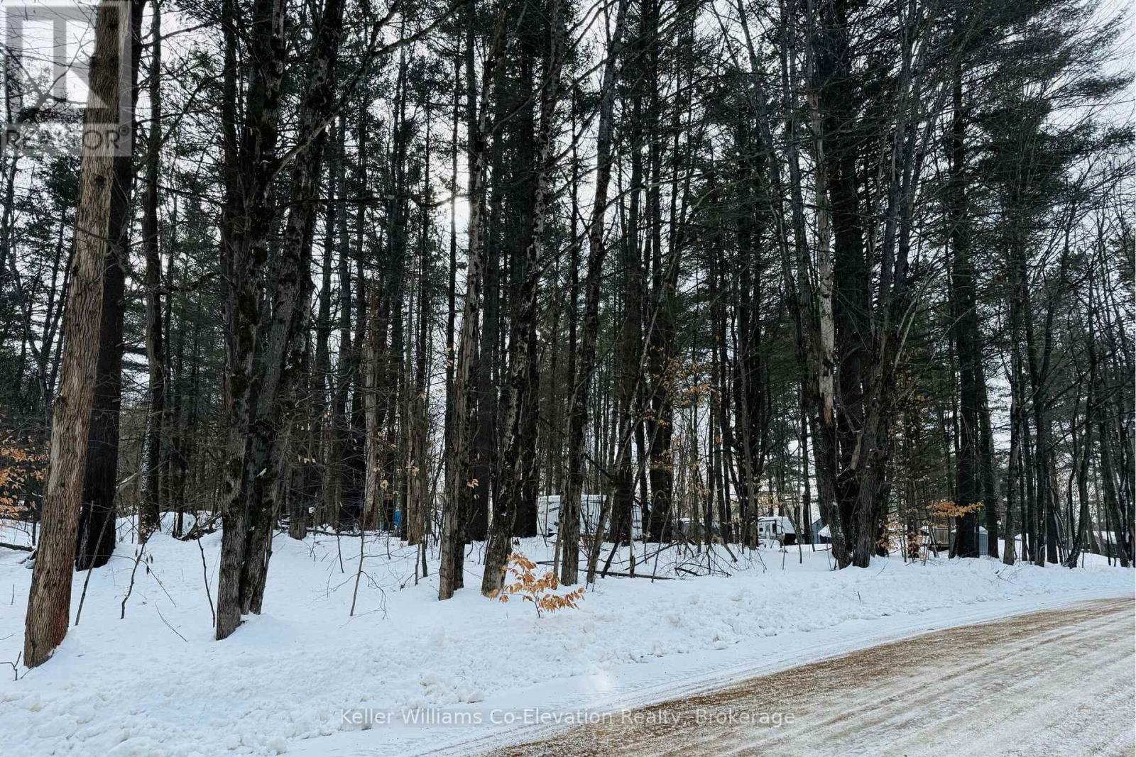 Lt Pt 3 Whites Road, Muskoka Lakes, Ontario  P0B 1J0 - Photo 8 - X12710132